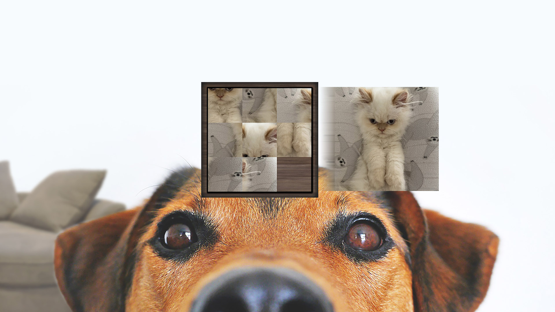 famous sliding puzzle pets