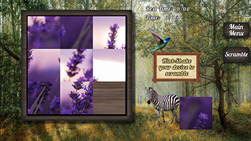 famous sliding puzzle nature