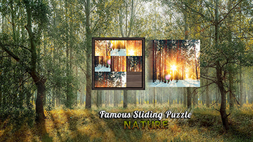 famous sliding puzzle nature